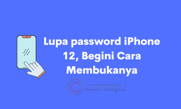 Lupa Kata Sandi iPhone 12