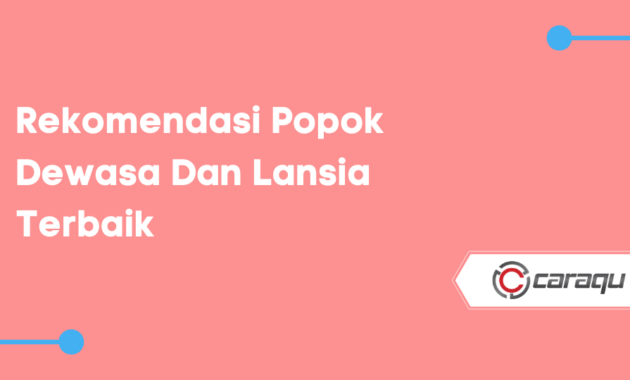 Rekomendasi Popok Dewasa Dan Lansia Terbaik