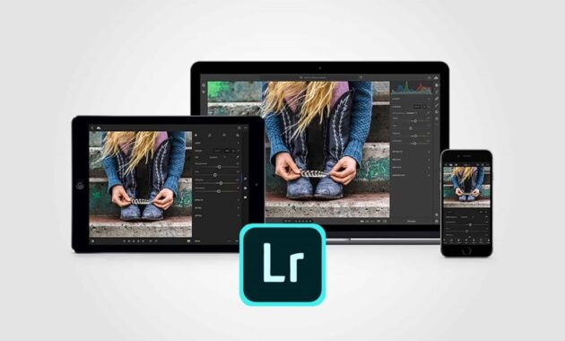 Begini, Cara Menghilangkan Objek di Lightroom Android