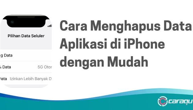 Cara Menghapus Data Aplikasi di iPhone dengan Mudah