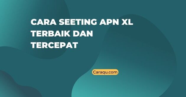 apn xl terbaik