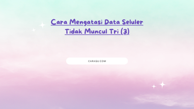 Cara Mengatasi Data Seluler Tidak Muncul Tri (3)